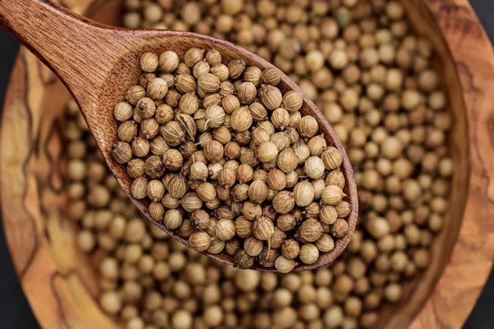 Biji ketumbar atau whole coriander seeds yang disiapkan untuk cleaning, grading, processing, dan kebutuhan pasar ekspor.