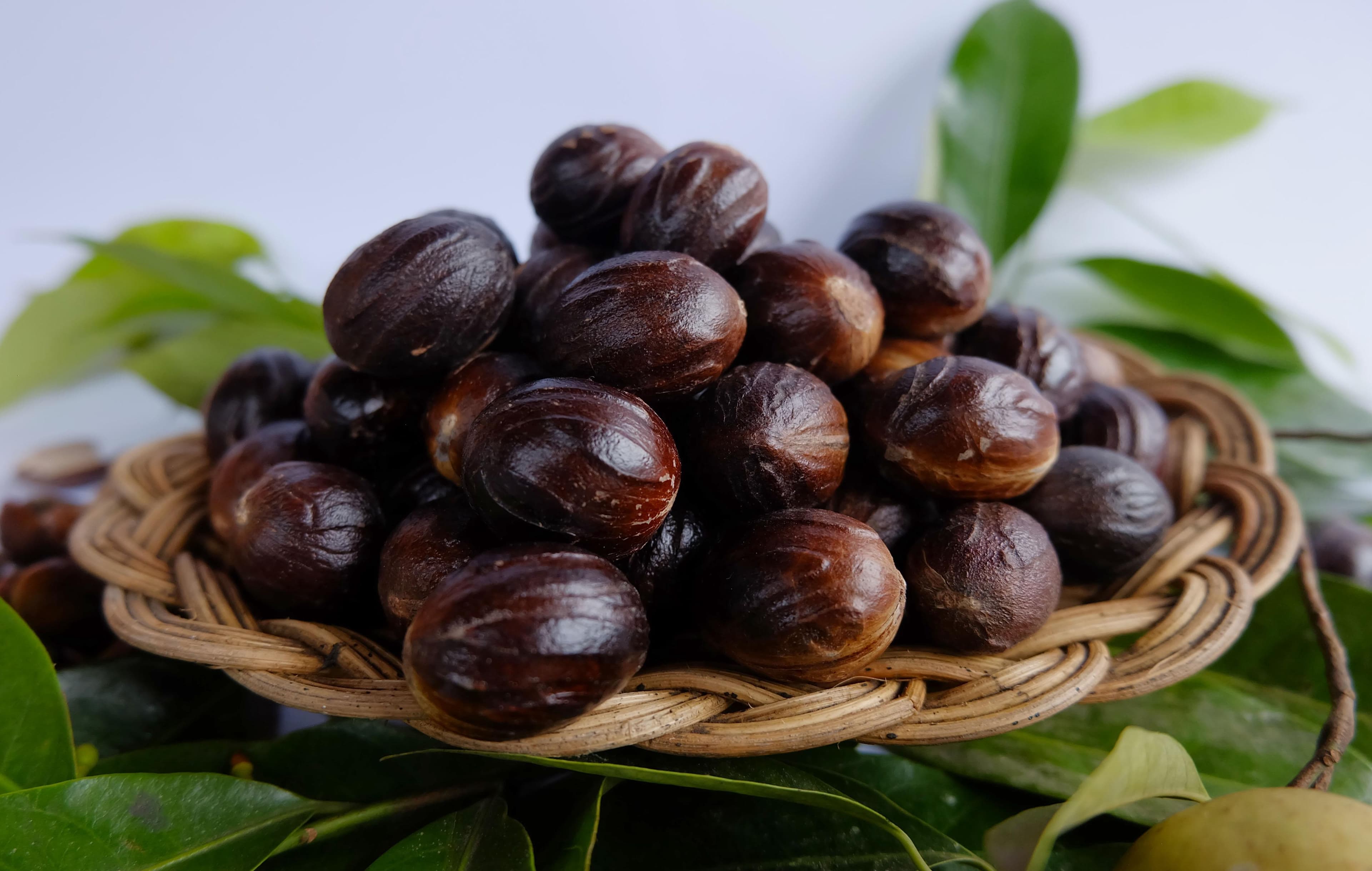 Biji pala Indonesia atau whole nutmeg yang disiapkan untuk sorting, grading, quality control, dan kebutuhan pasar ekspor.