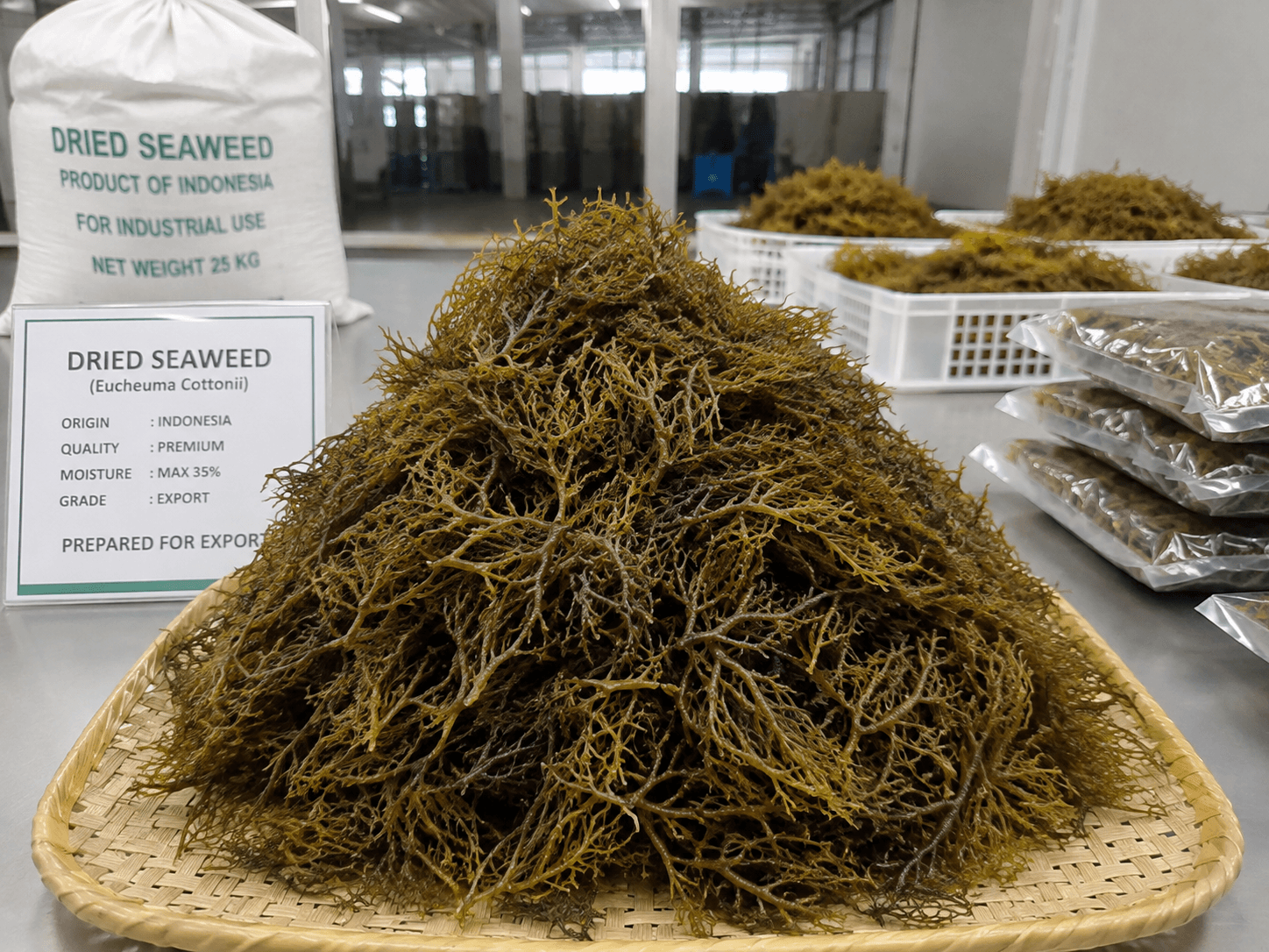Rumput laut kering Indonesia yang disiapkan untuk sorting, quality control, packaging, dan kebutuhan buyer industri ekspor.
