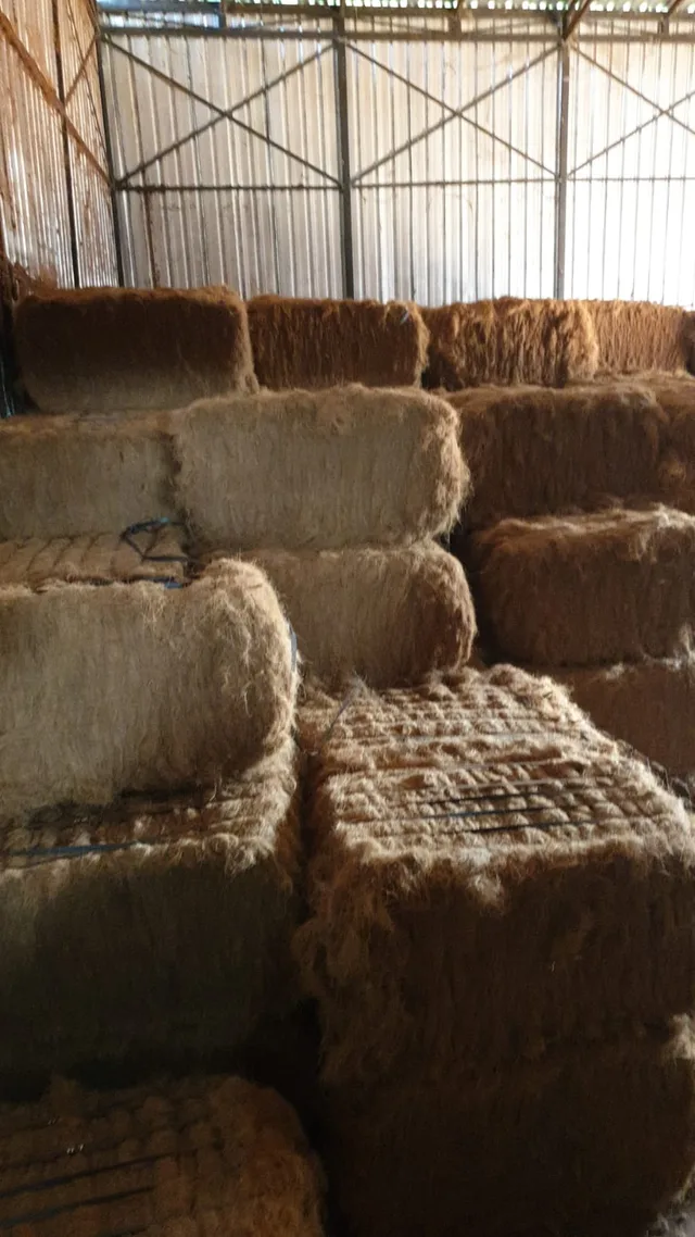 Foto produk Coconut Fiber